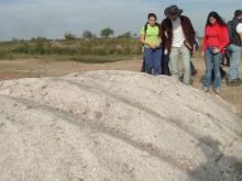 Segunda Caminata por el arroyo Saladillo